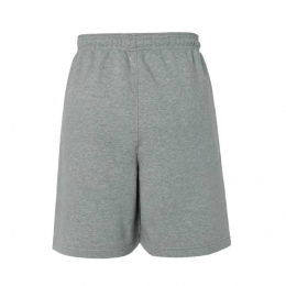 Шорты Nike Dri-Fit Standard Grey - изображение 1