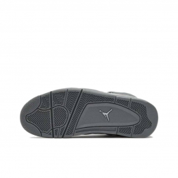 Air Jordan 4 Retro SE Smoke Grey