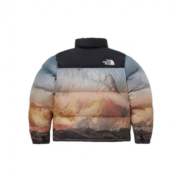 Пуховик The North Face Novelty Nuptse Jacket