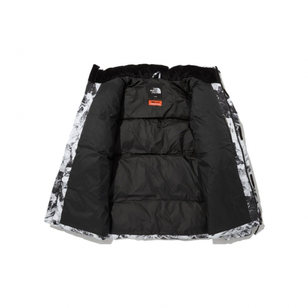 Пуховик The North Face On Ball Jacket Mountain Print