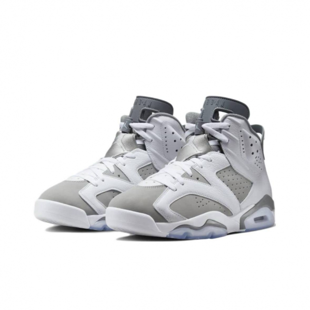 Air Jordan 6 Cool Grey