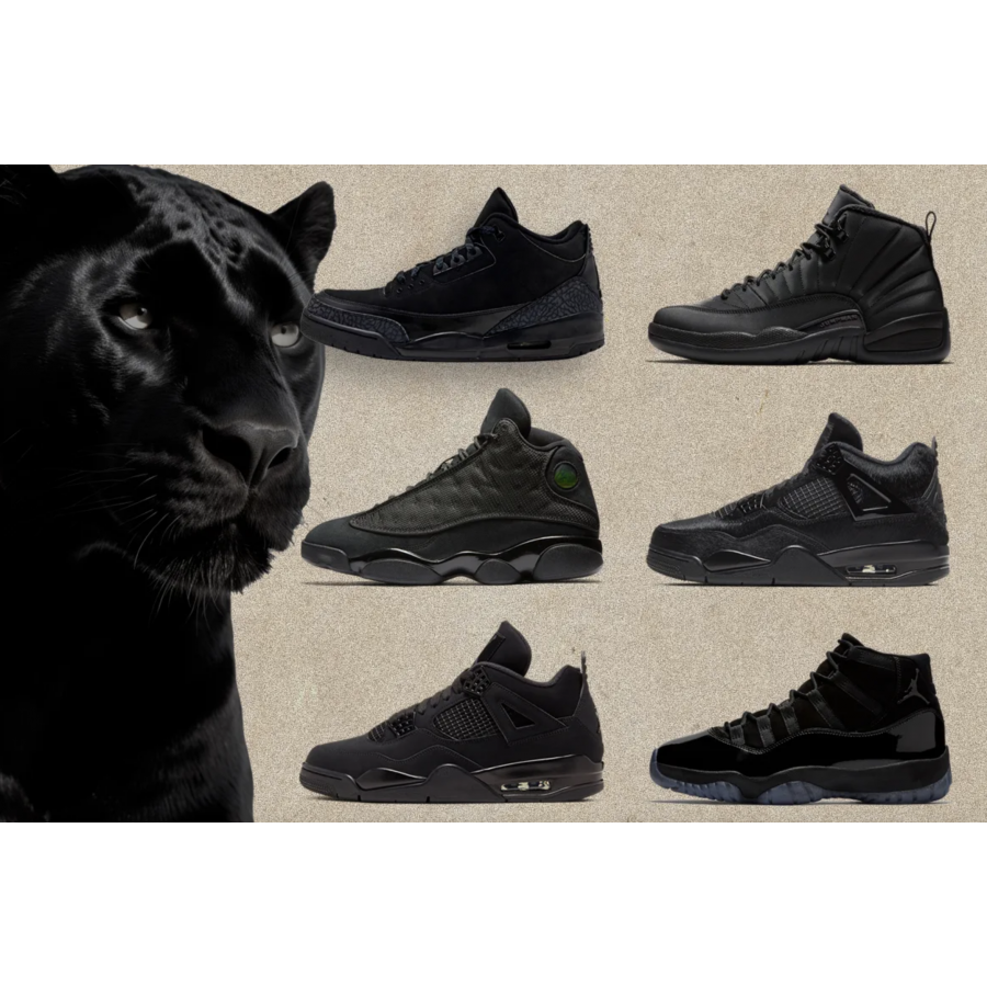 ЛУЧШИЕ РАСЦВЕТКИ AIR JORDAN "BLACK CAT": ИДЕАЛЬНОЕ ВОПЛОЩЕНИЕ СТИЛЯ