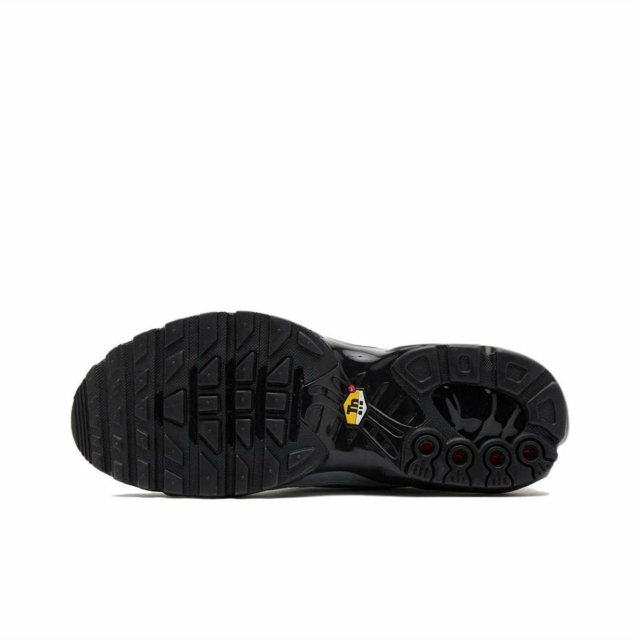 Nike Air Max Plus TNPO Wolf Grey and Black