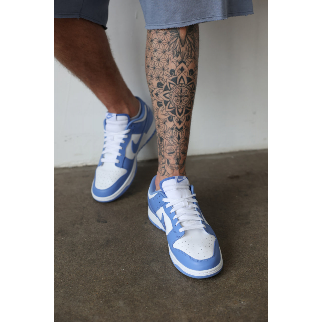 Nike Dunk Low Polar Blue 