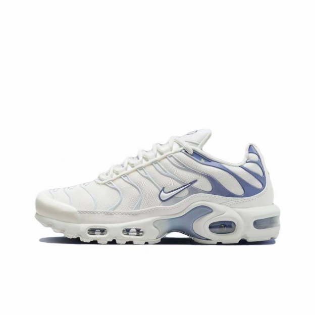 Nike Air Max Plus White Ashen Slate