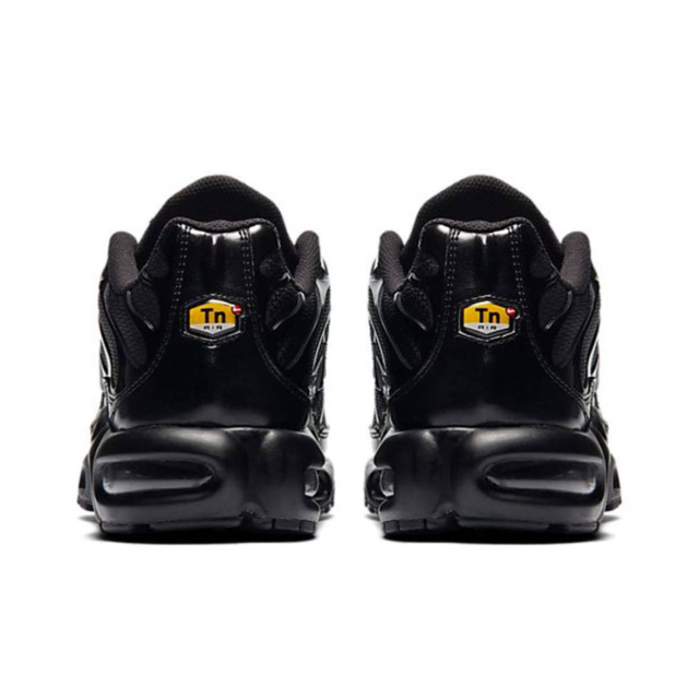 Nike Air Max Plus Triple Black