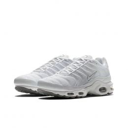 Nike Air Max Plus White