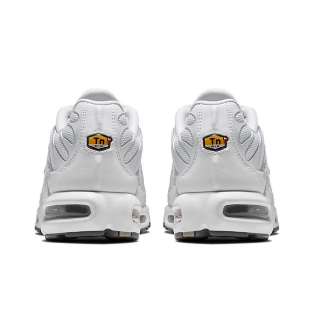 Nike Air Max Plus White