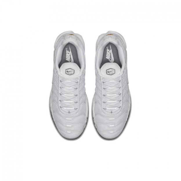 Nike Air Max Plus White