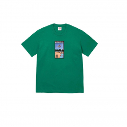 Футболка Supreme Toy Machine Welcome To Hell Tee Green