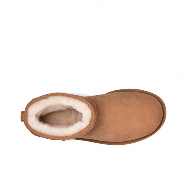 UGG Classic Mini Beige Brown 