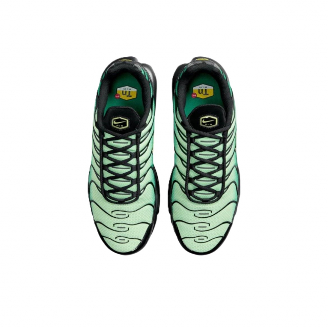 Nike Air Max Plus Green Gradient