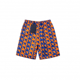 Шорты Louis Vuitton Swimming Shorts Blue Orange
