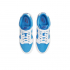 Nike Dunk Low Reverse UNC 