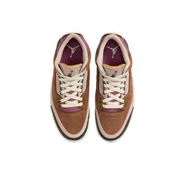 Air Jordan 3 Retro SE Archaeo Brown 
