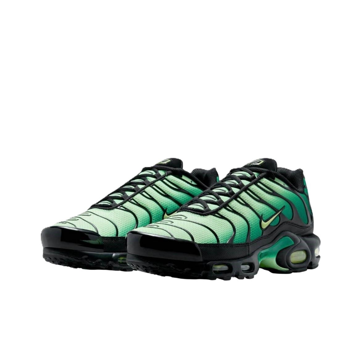 Кроссовки Nike Air Max Plus Green Gradient
