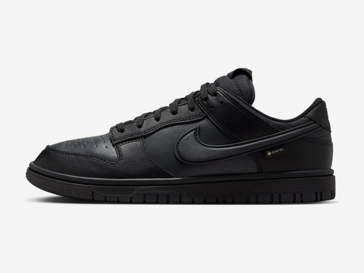 Чёрные Nike Dunk Low GORE-TEX, вид сбоку