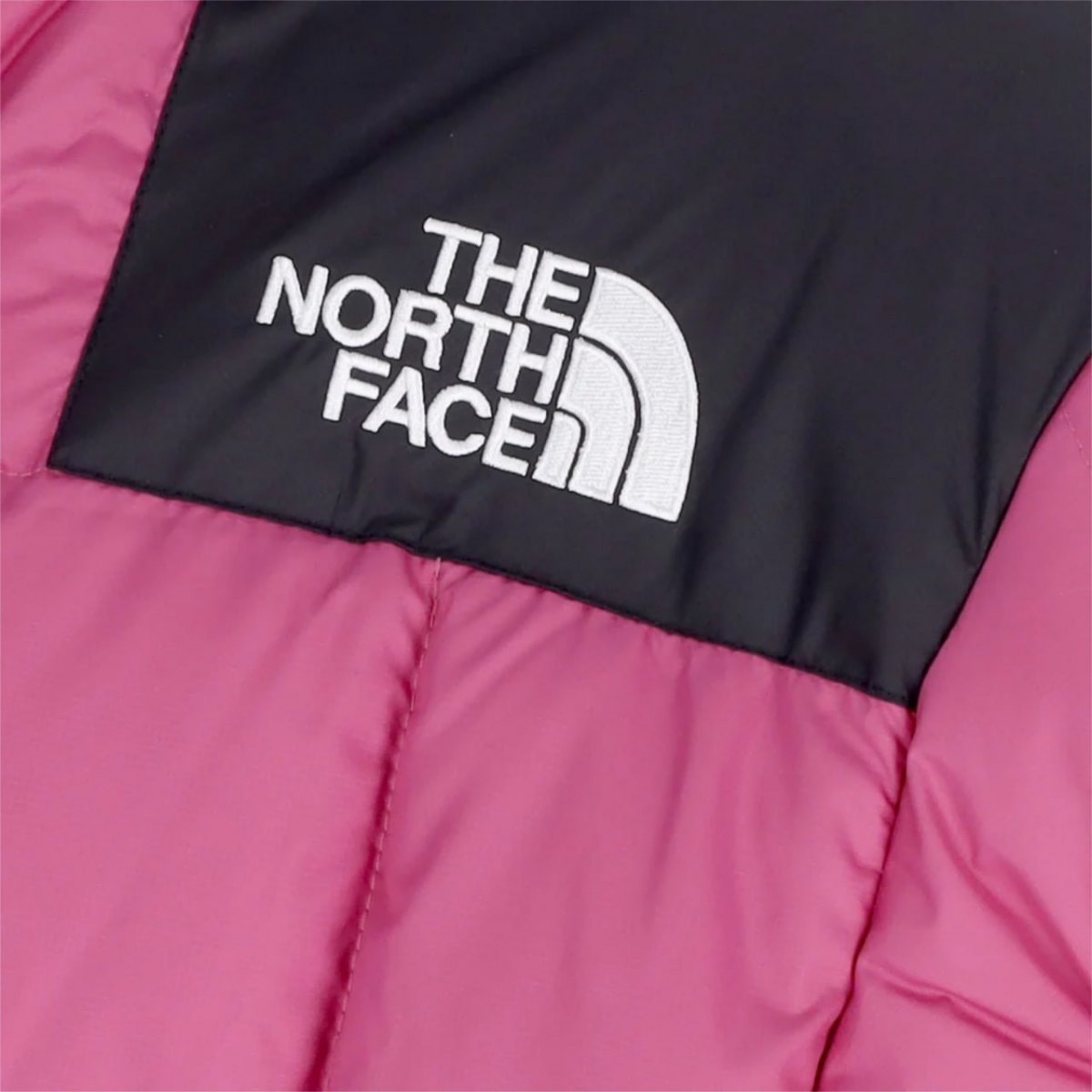 Логотип The North Face крупным планом
