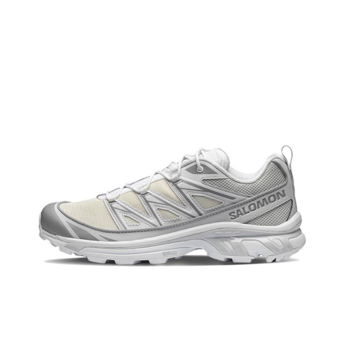 Кроссовки Salomon XT-6 Expanse серо-бежевые